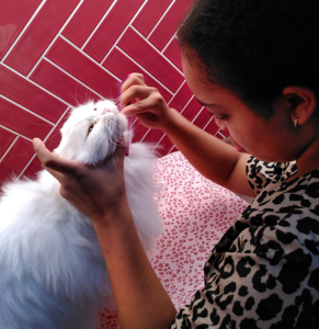 de vacht onder de kin klit snel