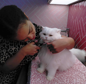 Naily Vrutaal trimt een kat