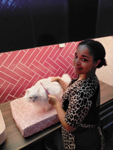 Naily Vrutaal - Jouw kattentrimmer